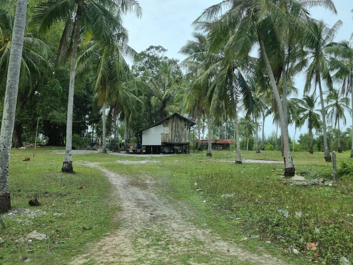 ขายที่ดินหาดใหญ่ สงขลา : ขายที่ดินติดทะเล ต. สะกอม อ. เทพา จ. สงชลา ใกล้ CoCo One Hotel 