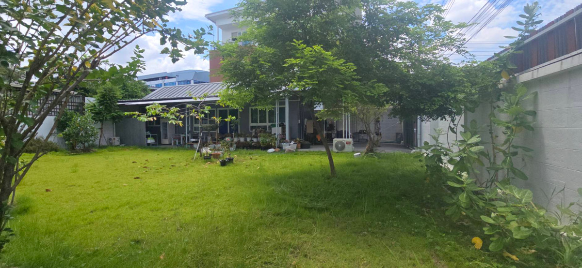 ให้เช่าบ้านสุขุมวิท อโศก ทองหล่อ : ให้เช่าบ้านเดี่ยว 80 ตรว. โมเดิร์น สุขุมวิท 50 ใกล้ BTS อ่อนนุช 200 เมตร 2 นอน 1 น้ำ พท. ใช้สอย 80 ตรม, จอดรถ  2 คัน ค่าเช่า 25000 บาท