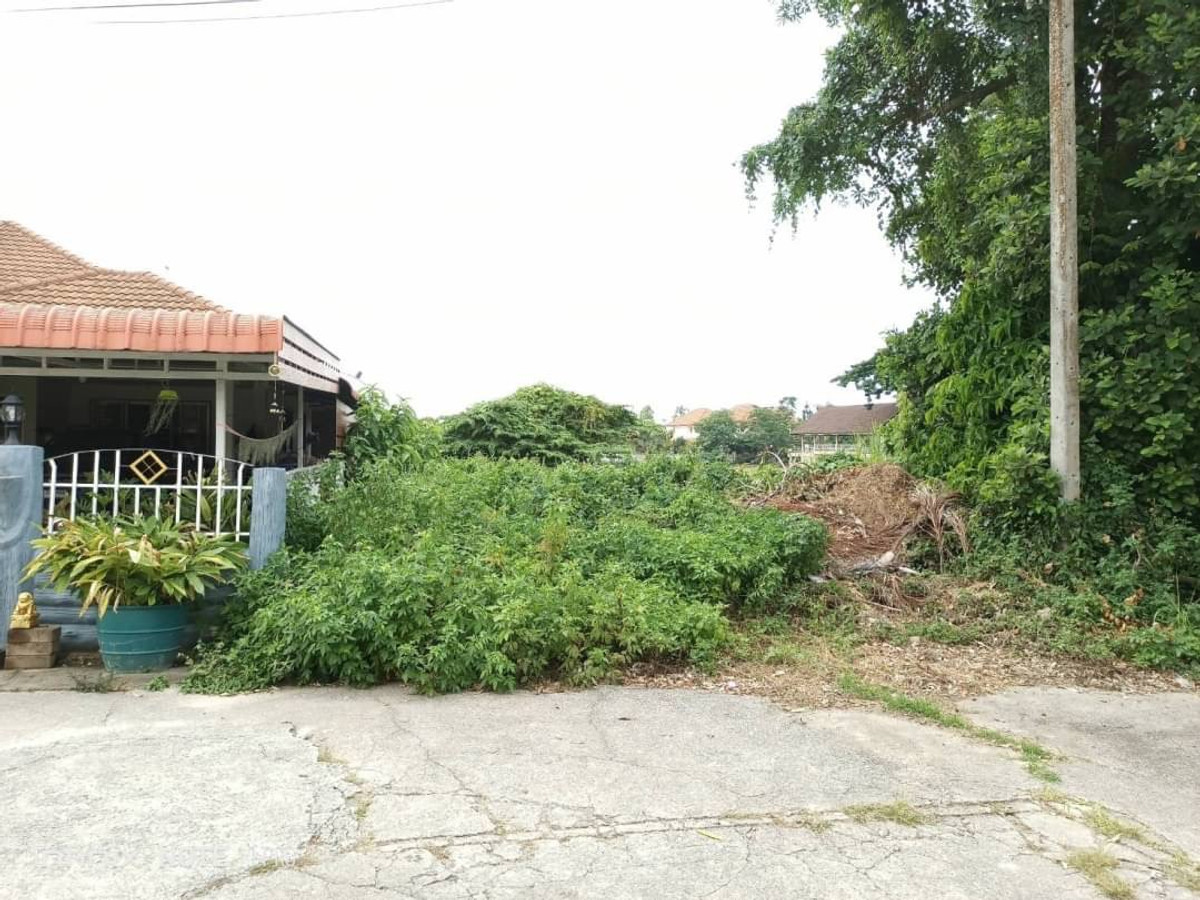 ขายที่ดินเชียงราย : ที่ดิน อ.เมืองเชียงราย ขายเท่าประเมิน 