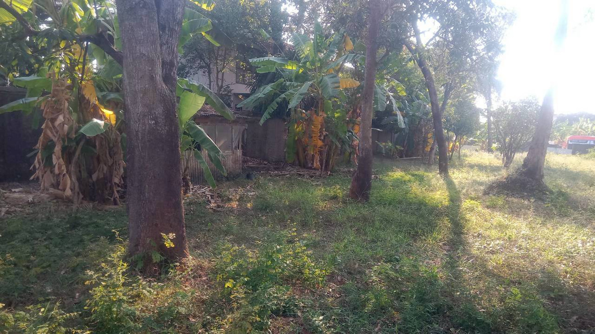 For SaleLandBang kae, Phetkasem : Land, Petchkasem Soi 88, area 200 square meters, Petchkasem Road, Soi Petchkasem 88 (Chusang 88), Bang Khae Nuea Subdistrict, Bang Khae District, Bangkok.