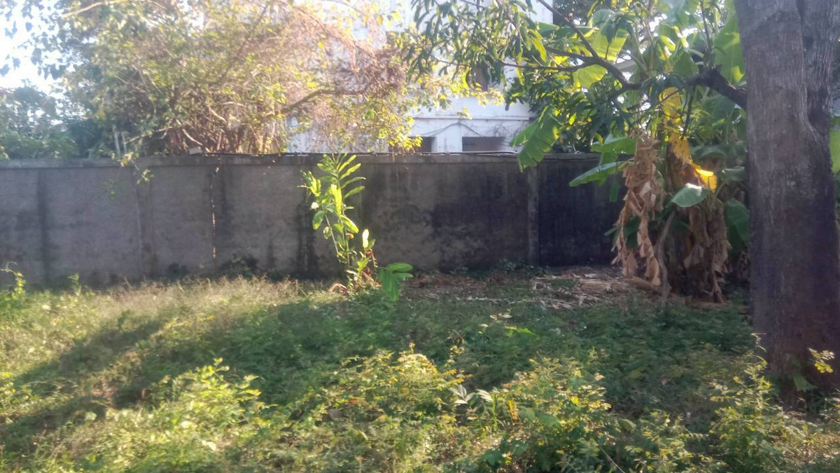 For SaleLandBang kae, Phetkasem : Land, Petchkasem Soi 88, area 200 square meters, Petchkasem Road, Soi Petchkasem 88 (Chusang 88), Bang Khae Nuea Subdistrict, Bang Khae District, Bangkok.