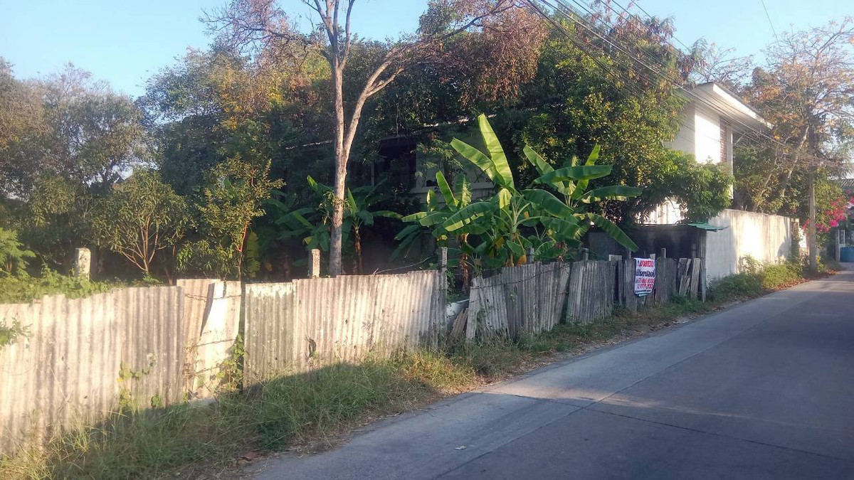 For SaleLandBang kae, Phetkasem : Land, Petchkasem Soi 88, area 200 square meters, Petchkasem Road, Soi Petchkasem 88 (Chusang 88), Bang Khae Nuea Subdistrict, Bang Khae District, Bangkok.