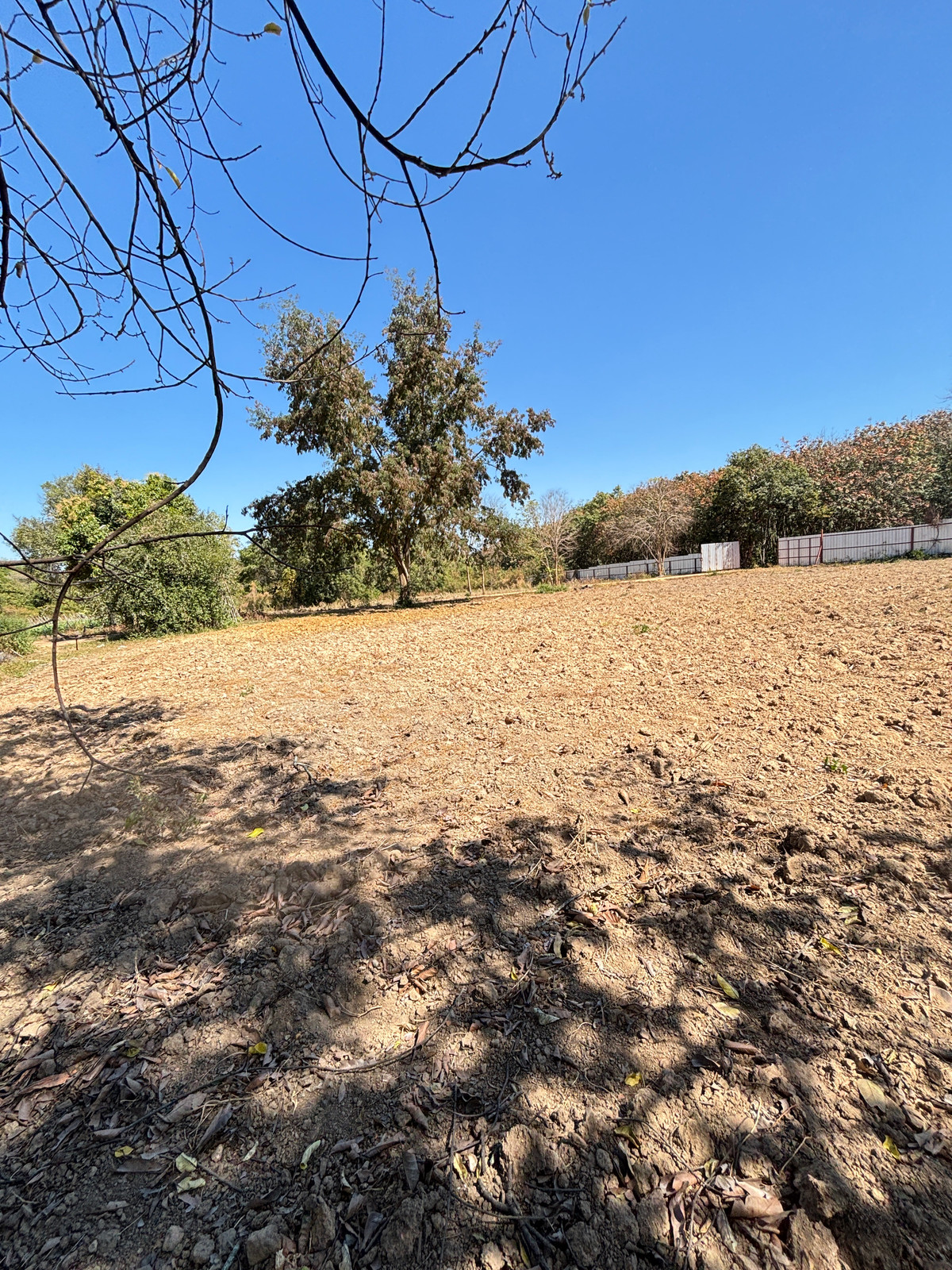 For SaleLandPattaya, Bangsaen, Chonburi : Beautiful plot of land for sale, prime location, Phanat Nikhom District. Chonburi Province