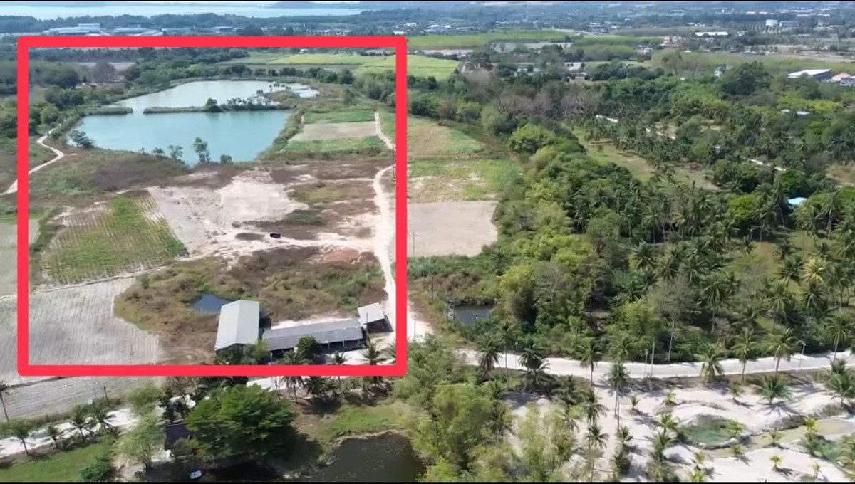 ให้เช่าที่ดินพัทยา บางแสน ชลบุรี สัตหีบ : Rare Item! ธุรกิจท่องเที่ยว ธรรมชาติเปิดโล่ง พร้อมแหล่งน้ำ 🌿 ที่ดิน 98 ไร่ เขาเขียว บางพระ ชลบุรี / (เช่า), Land 98 rai Khao Khiao Bang Phra Chonburi / (FOR RENT) YEAN093