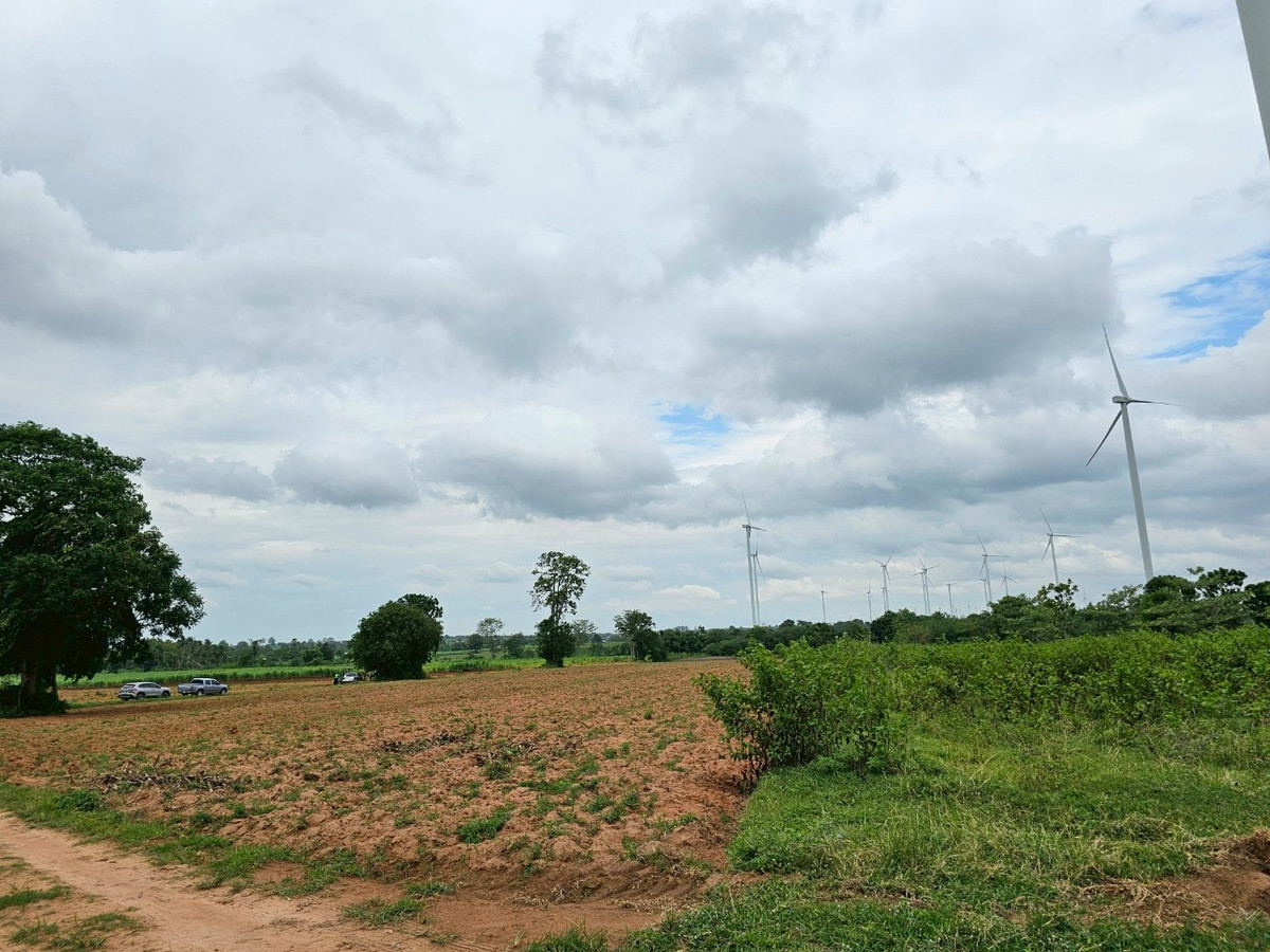 For SaleLandKorat Nakhon Ratchasima : Land for sale with view of wind turbine fields, Huai Bong Subdistrict, Dan Khun Thot District, Nakhon Ratchasima Province.