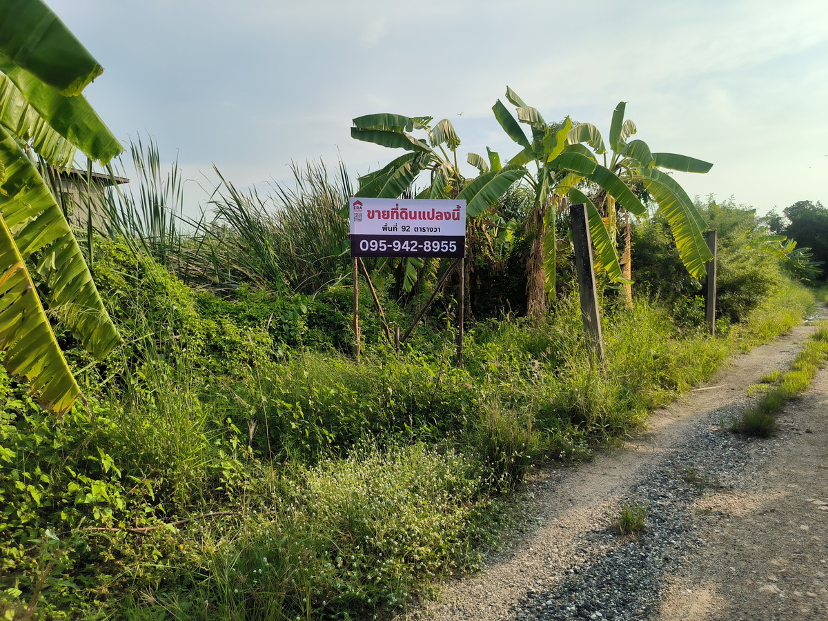 ขายที่ดินบางนา แบริ่ง ลาซาล : ขาย ที่ดินเปล่า บางนา ใกล้เมกาบางนา ต.บางพลีใหญ่ อ.บางพลี จ.สมุทรปราการ