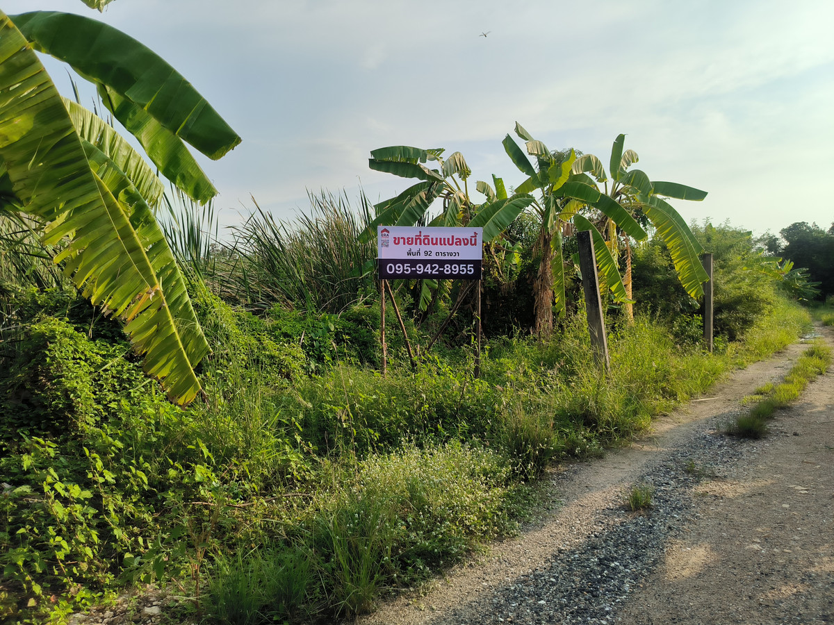 ขายที่ดินบางนา แบริ่ง ลาซาล : ขาย ที่ดินเปล่าบางนา ใกล้เมกาบางนา ต.บางพลีใหญ่ อ.บางพลี จ.สมุทรปราการ
