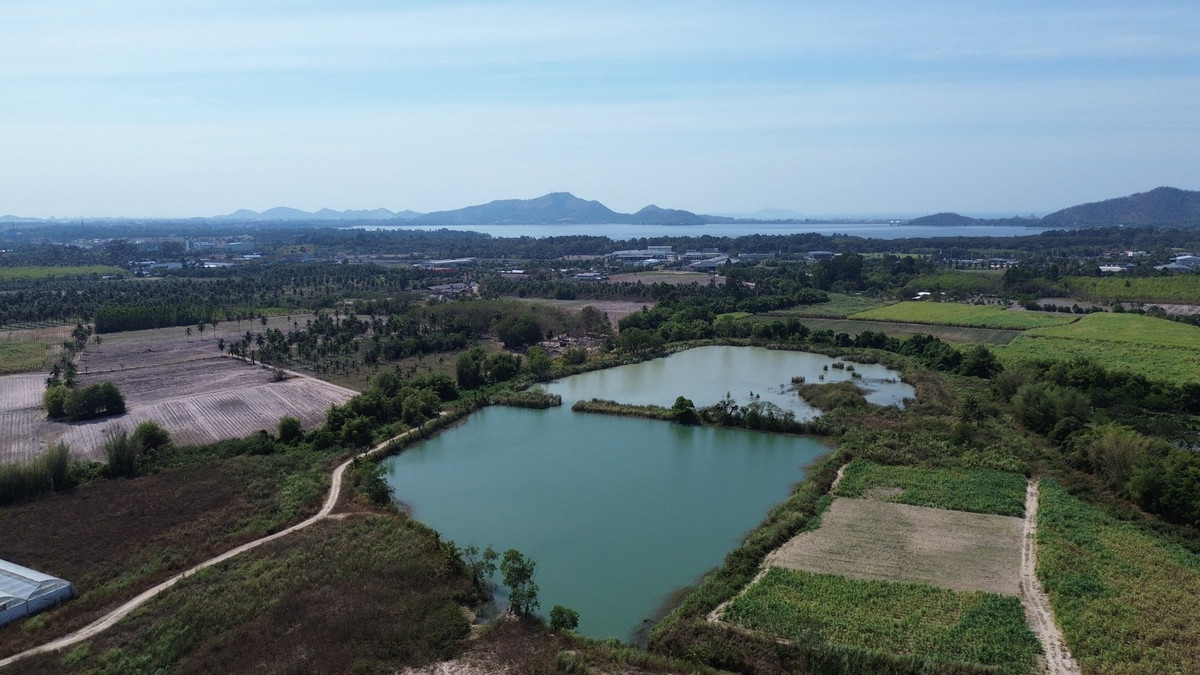 ให้เช่าที่ดินพัทยา บางแสน ชลบุรี สัตหีบ : Rare Item! ธุรกิจท่องเที่ยว ธรรมชาติเปิดโล่ง พร้อมแหล่งน้ำ 🌿 ที่ดิน 98 ไร่ เขาเขียว บางพระ ชลบุรี / (เช่า), Land 98 rai Khao Khiao Bang Phra Chonburi / (FOR RENT) YEAN093