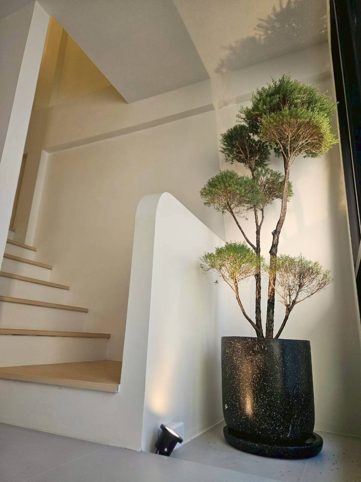 For SaleTownhomeOnnut, Udomsuk : Townhouse near BTS Punnawithi, prime location that everyone is looking for! Townhouse for sale, Soi Punnawithi 7, connected to every convenience in the heart of Sukhumvits new Hub. Walk to study/work right away, just 4.99 million!