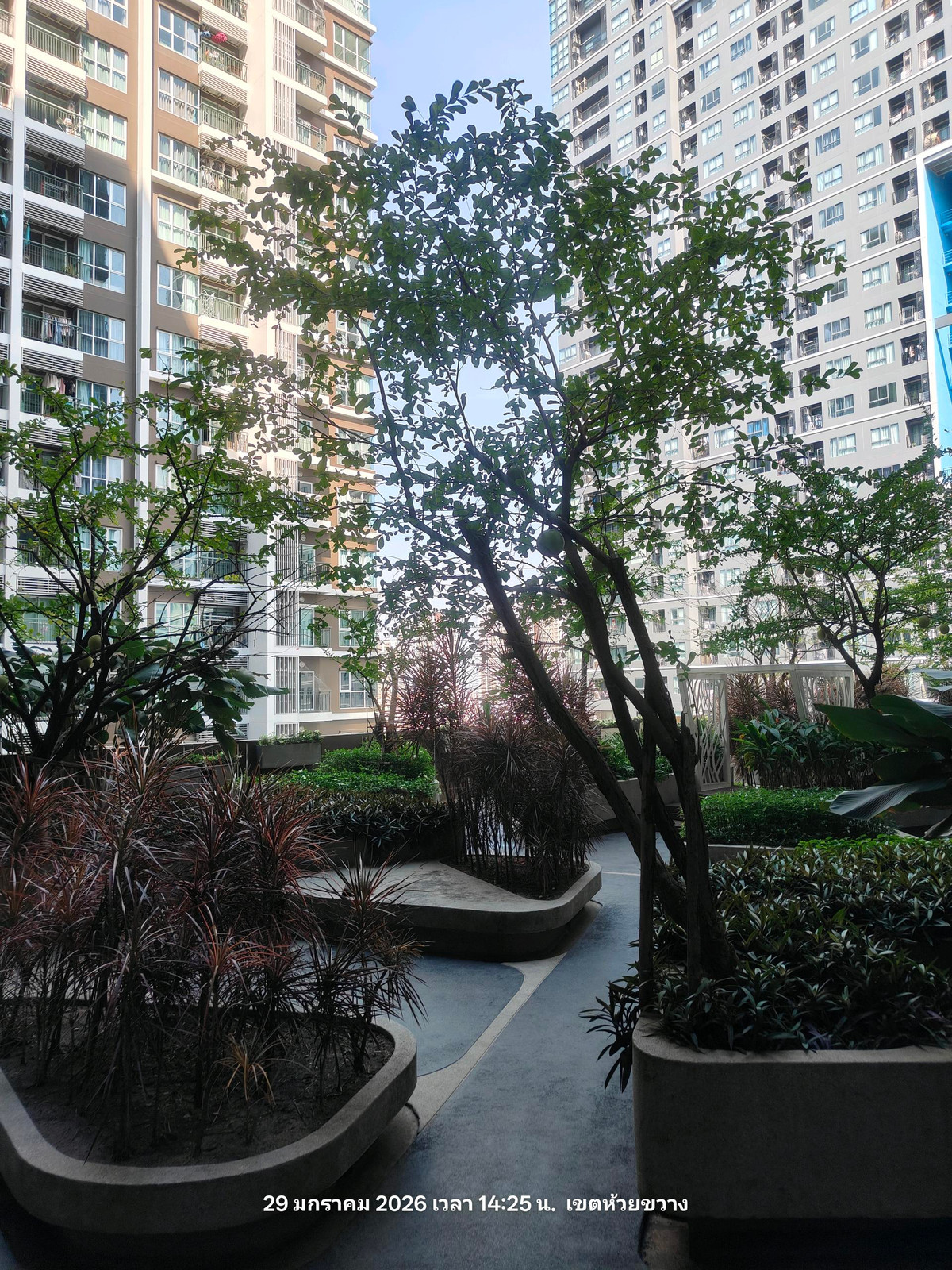 For SaleCondoRama9, Petchburi, RCA : Selling aspire rama9 5.35 million