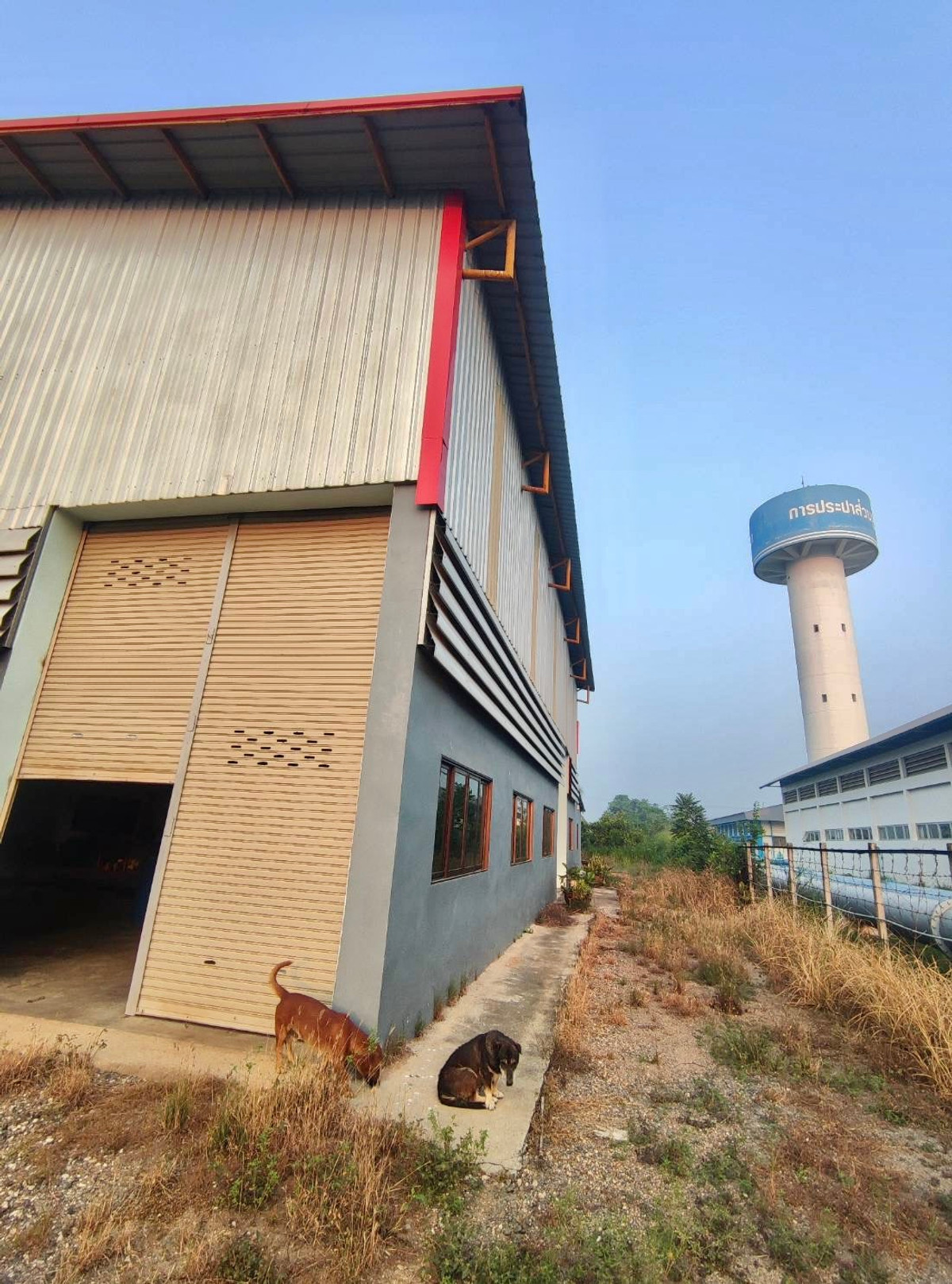 ขายโกดังพัทยา บางแสน ชลบุรี สัตหีบ : ขายโรงงาน 350 ตรม. พร้อมที่ดิน 1 ไร่ 2 งาน (2,400 ตรม.) 📍ที่ตั้ง ต.ท่าบุญมี อ.เกาะจันทร์ จ.ชลบุรี