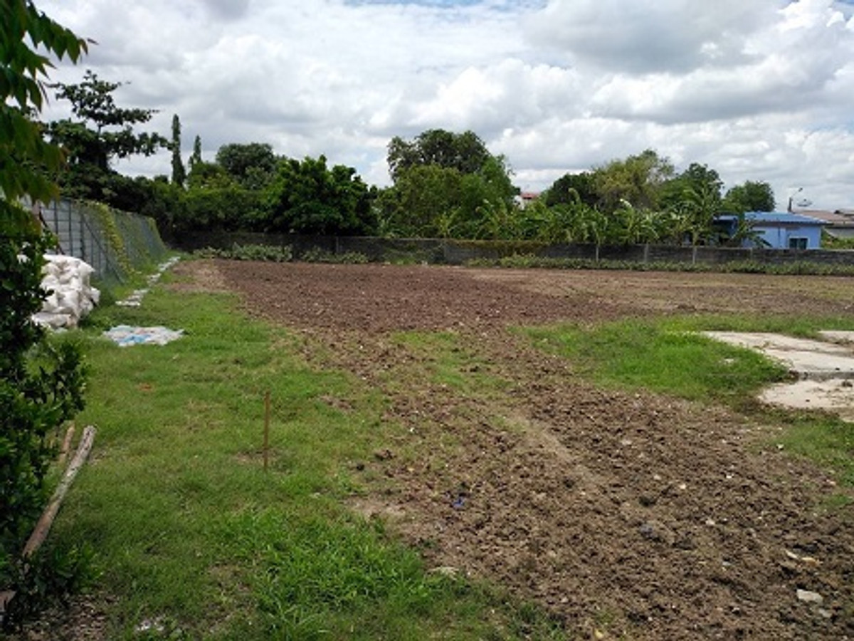 For SaleLandChaengwatana, Muangthong : Large plot of land for sale Chaengwattana - Lak Si location, land size 9 rai 17 square wah (total 3,617 square wah), width approximately 69 meters, depth approximately 250 meters.