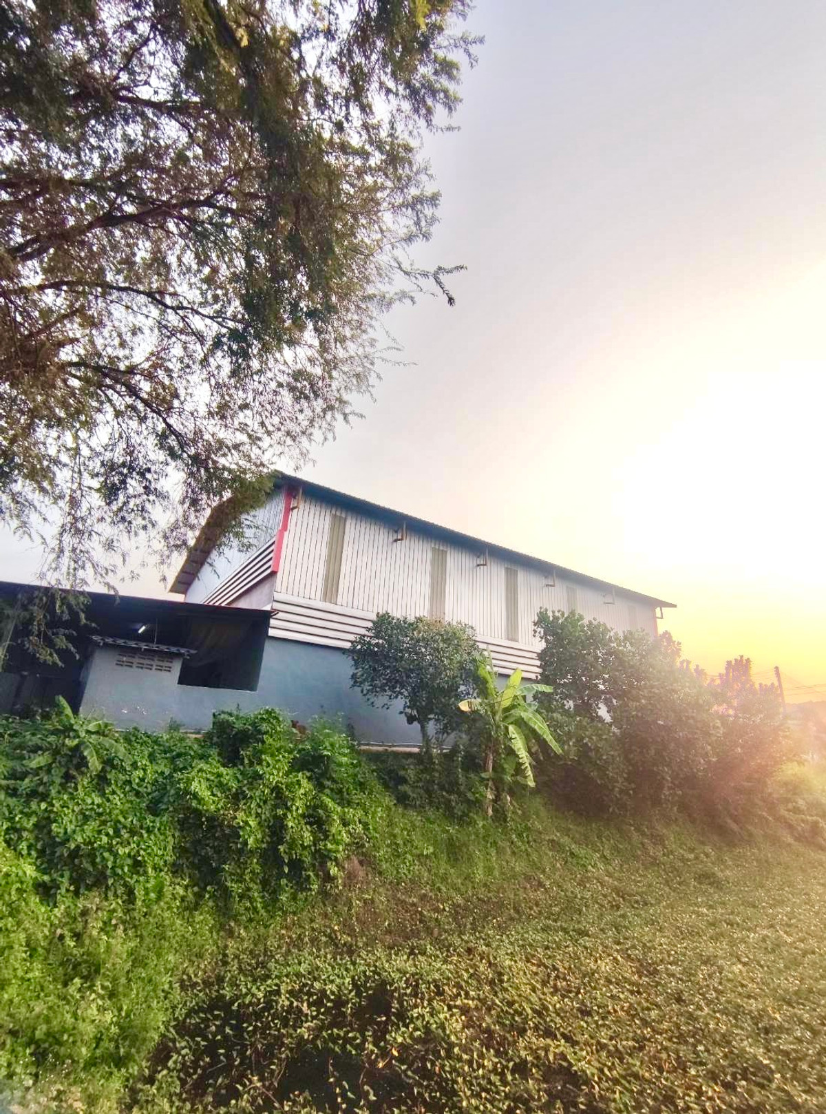 ขายโกดังพัทยา บางแสน ชลบุรี สัตหีบ : ขายโรงงาน 350 ตรม. พร้อมที่ดิน 1 ไร่ 2 งาน (2,400 ตรม.) 📍ที่ตั้ง ต.ท่าบุญมี อ.เกาะจันทร์ จ.ชลบุรี