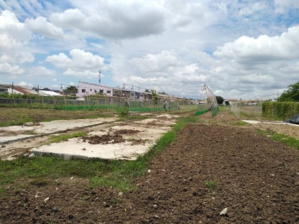 For SaleLandChaengwatana, Muangthong : Large plot of land for sale Chaengwattana - Lak Si location, land size 9 rai 17 square wah (total 3,617 square wah), width approximately 69 meters, depth approximately 250 meters.