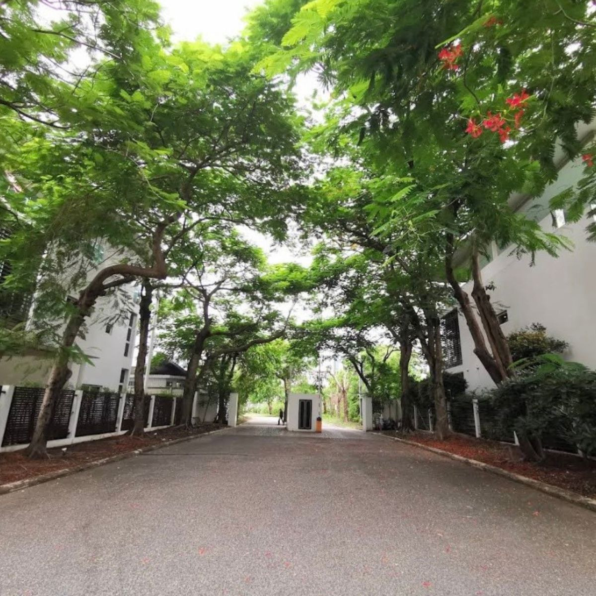 For SaleLandBangna, Bearing, Lasalle : Empty land for sale, area 173.8 square meters, in Srinakarin Park Village. Beautiful rectangular plot, easy to lay out, width 33 meters, depth 25 meters.