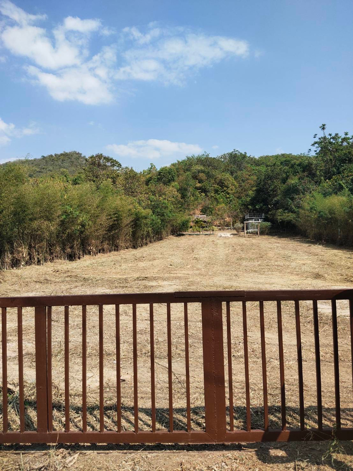 For SaleLandPattaya, Bangsaen, Chonburi : Land, Khao Mon, Sattahip, Chonburi