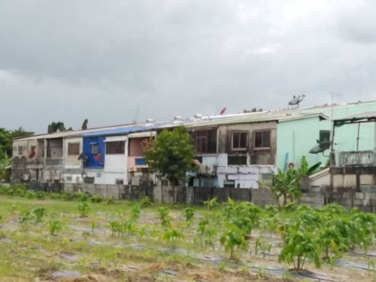 For SaleLandChaengwatana, Muangthong : Large plot of land for sale Chaengwattana - Lak Si location, land size 9 rai 17 square wah (total 3,617 square wah), width approximately 69 meters, depth approximately 250 meters.