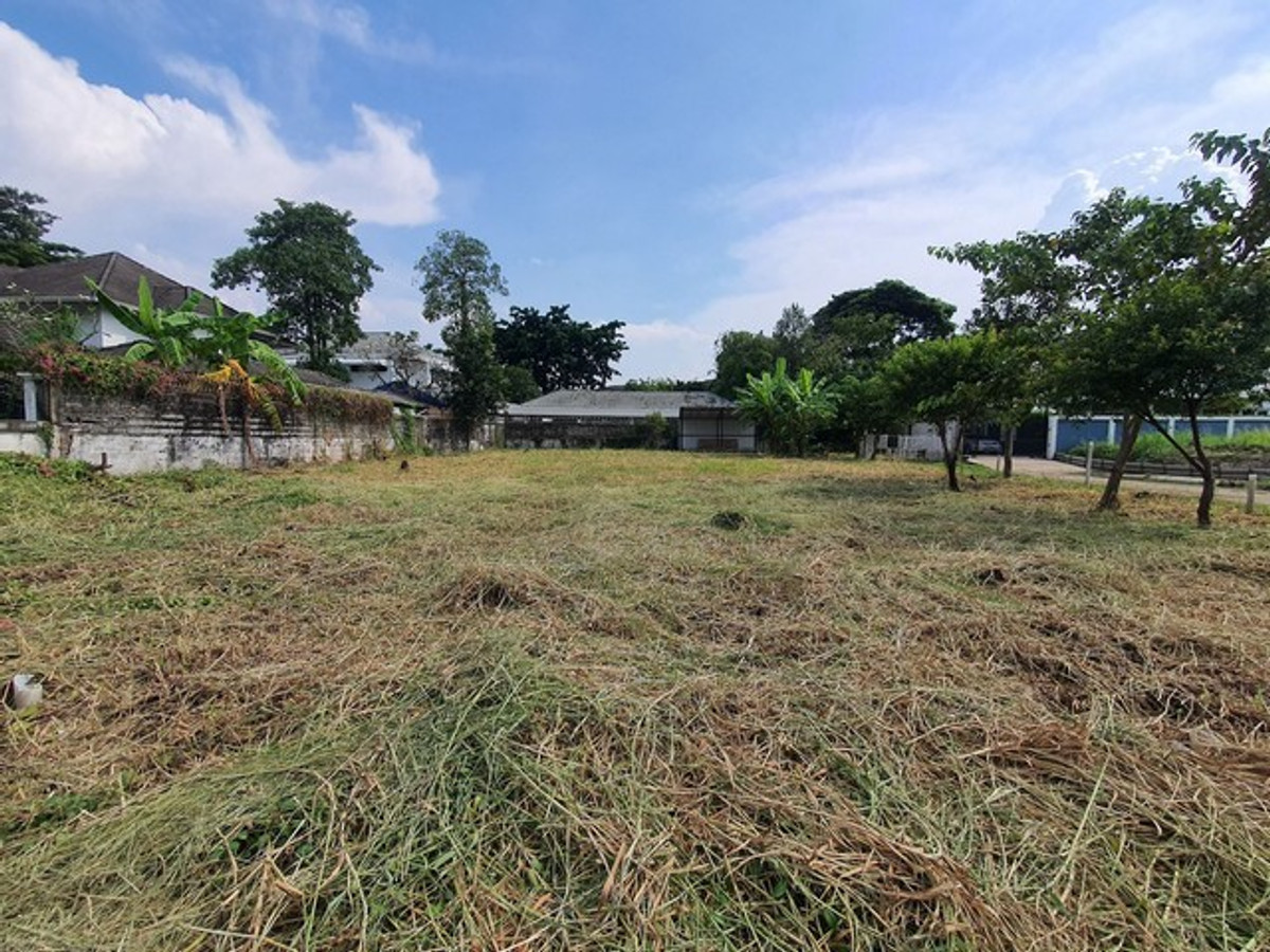 ขายที่ดินพัฒนาการ ศรีนครินทร์ : ขายที่ดินพัฒนาการ ขนาด 243 ตารางวา สวยทำเลดีเหมาะสร้างบ้าน สำนักงาน ฯลฯ