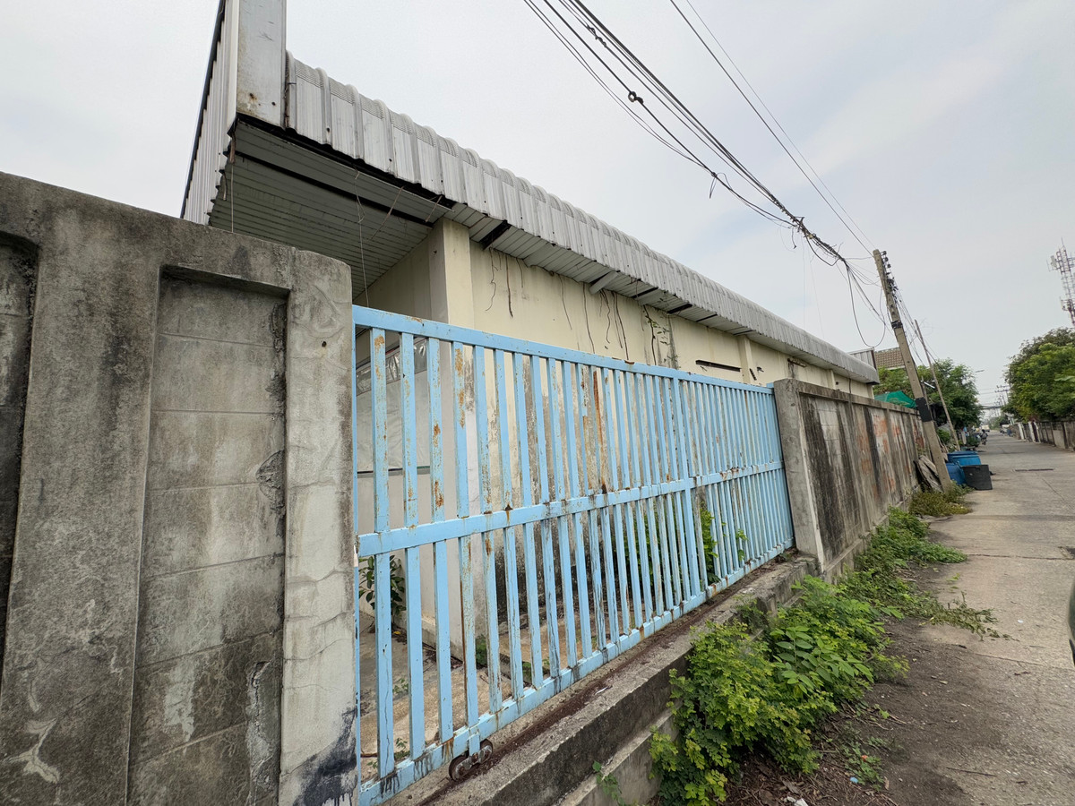 โกดังปทุมธานี รังสิต ธรรมศาสตร์ : ที่ดินพร้อมโกดัง 100 ตรว. ใกล้โรงเรียน เตรียมบัณฑิต