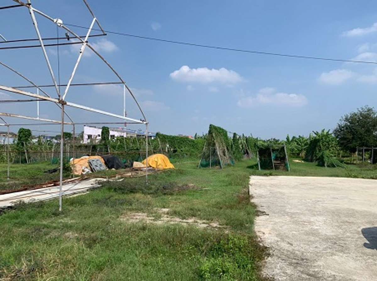 For SaleLandChaengwatana, Muangthong : Large plot of land for sale Chaengwattana - Lak Si location, land size 9 rai 17 square wah (total 3,617 square wah), width approximately 69 meters, depth approximately 250 meters.