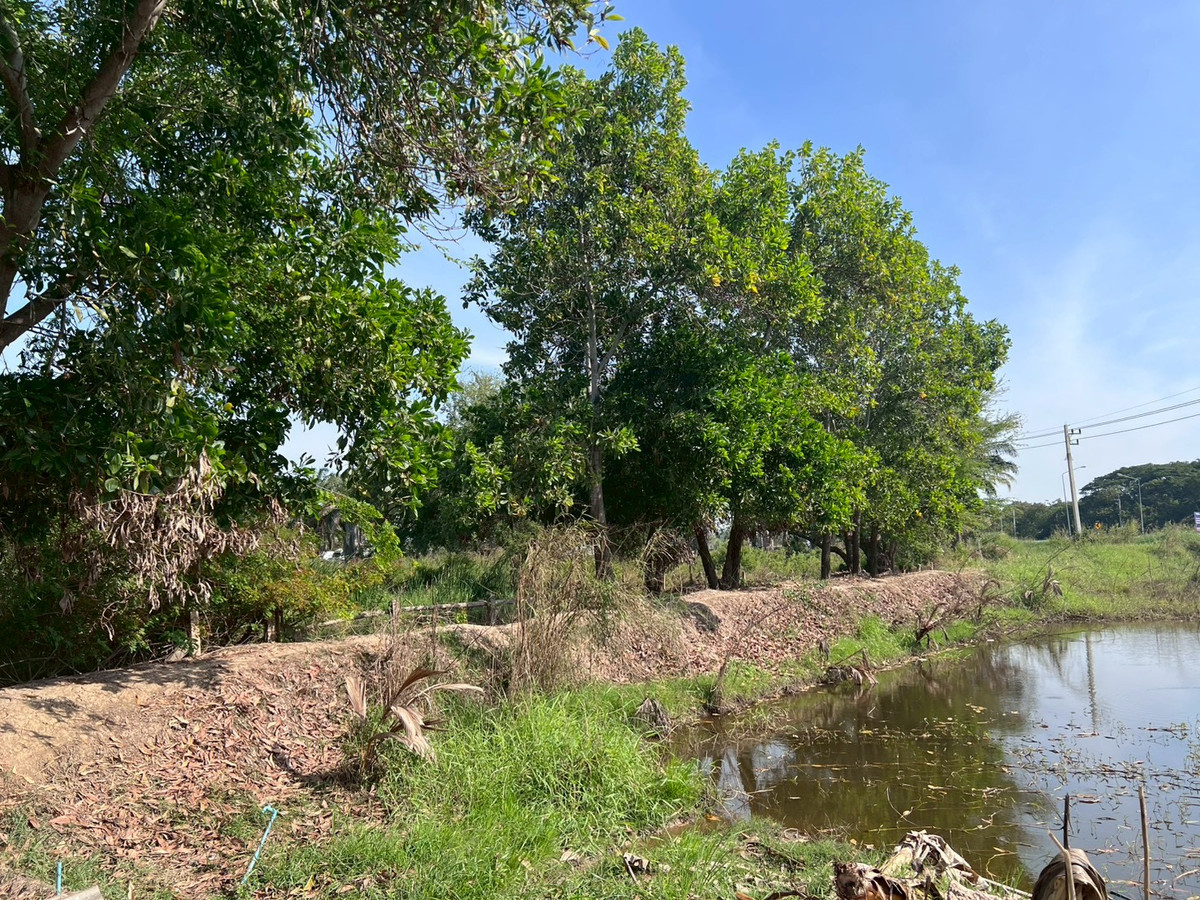 For SaleHouseSing Buri : 95546 - 2-story garden house for sale with land, 4 rai 3 ngan 5 sq m., Phrom Buri District, Sing Buri Province, next to Highway 309.