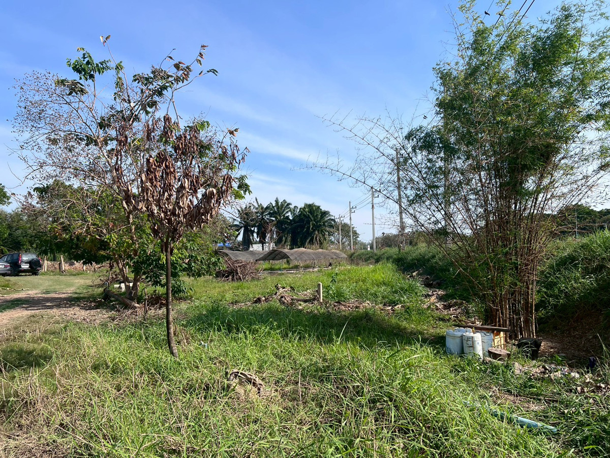 For SaleHouseSing Buri : 95546 - 2-story garden house for sale with land, 4 rai 3 ngan 5 sq m., Phrom Buri District, Sing Buri Province, next to Highway 309.