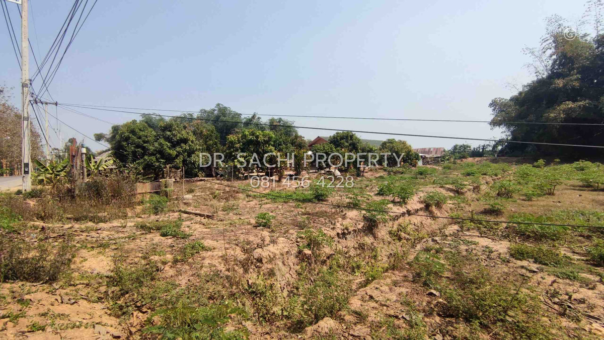 ขายที่ดินเชียงราย : ขายที่ดิน 3-1-25 ไร่ ติดริมน้ำ ต.บ้านด้าย อ.แม่สาย จ.เชียงราย