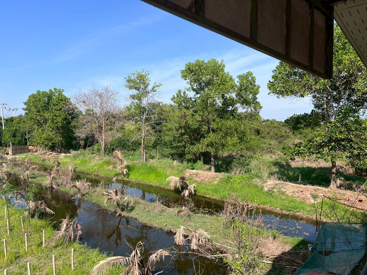 For SaleHouseSing Buri : 95546 - 2-story garden house for sale with land, 4 rai 3 ngan 5 sq m., Phrom Buri District, Sing Buri Province, next to Highway 309.