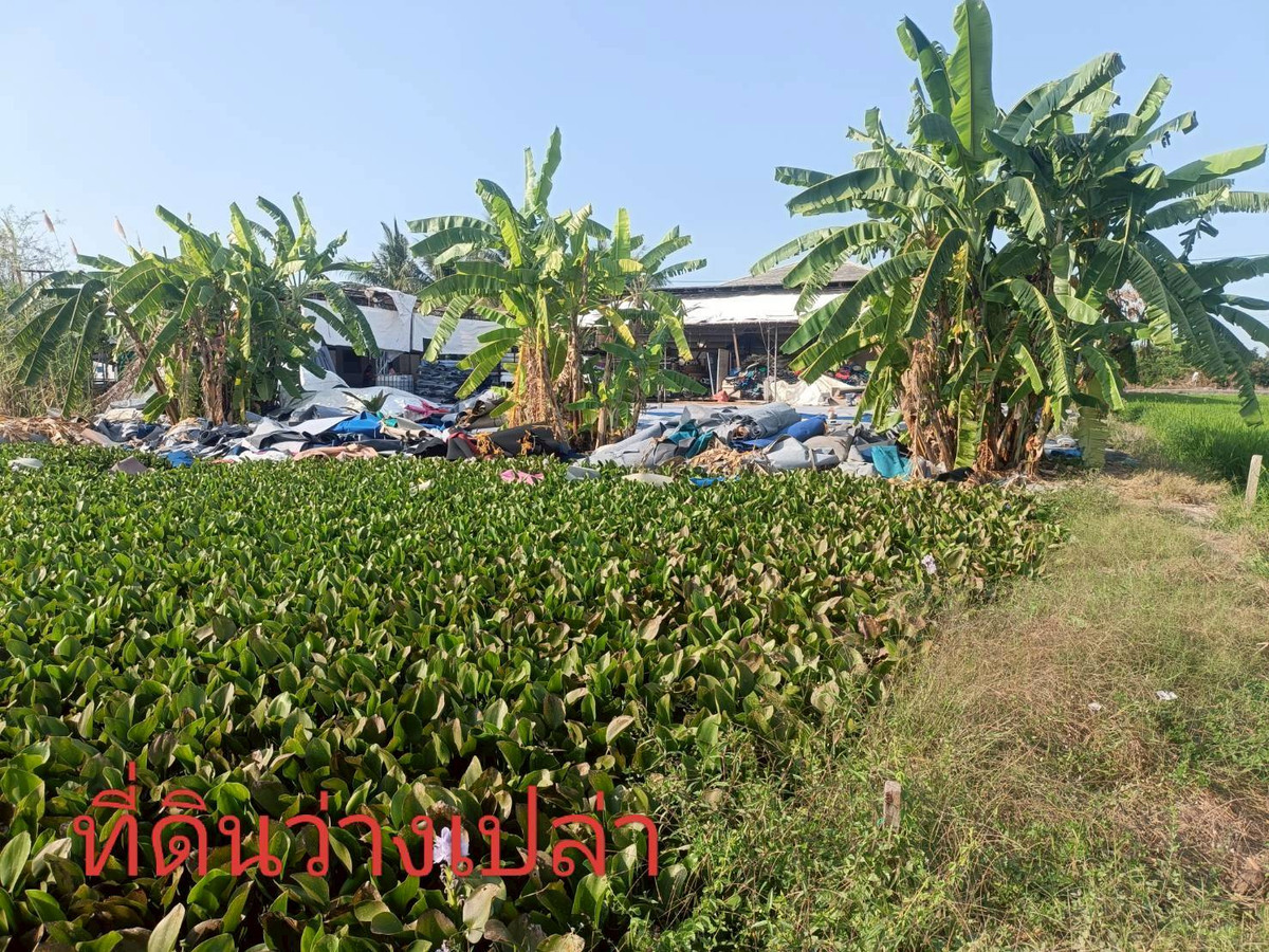 ขายสำนักงานนนทบุรี บางใหญ่ บางบัวทอง : ขายตึกอาคาร 2 ชั้น พร้อมที่ดิน 2 ไร่ ถ.เลียบคลองหลุมลี ต.บ้านใหม่ อ.บางใหญ่ จังหวัดนนทบุรี ราคา 12,900,000 บาท