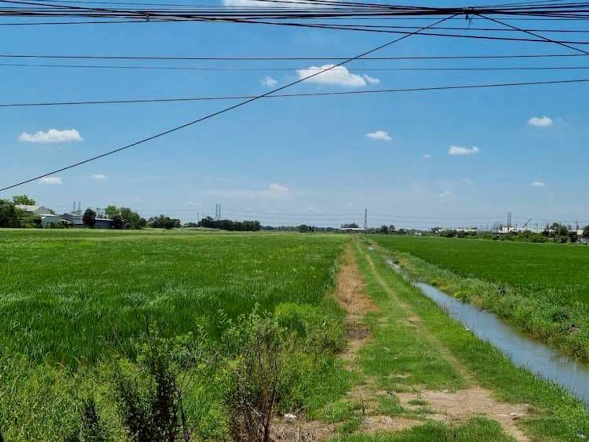 ให้เช่าที่ดินปทุมธานี รังสิต ธรรมศาสตร์ : ให้เช่า ที่ดิน แปลงใหญ่ 45 ไร่ (แบ่งเช่าได้) ทำเลดี ใกล้ชุมชน ติดถนนเลียบคลอง 7 ตำบลลำลูกกา อำเภอลำลูกกา จังหวัดปทุมธานี