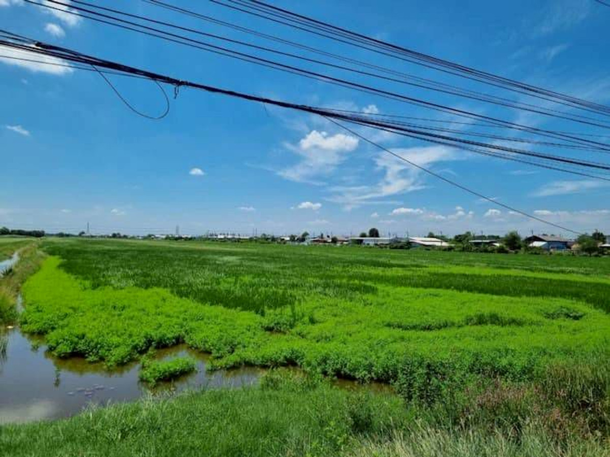 ให้เช่าที่ดินปทุมธานี รังสิต ธรรมศาสตร์ : ให้เช่า ที่ดิน แปลงใหญ่ 45 ไร่ (แบ่งเช่าได้) ทำเลดี ใกล้ชุมชน ติดถนนเลียบคลอง 7 ตำบลลำลูกกา อำเภอลำลูกกา จังหวัดปทุมธานี