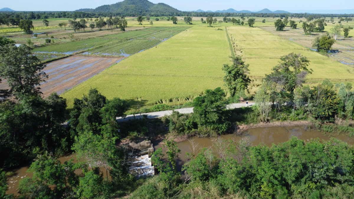 ขายที่ดินพิจิตร : 📣 ขาย!! ที่ดินแปลงใหญ่ 47ไร่ ที่ดินทำเลดี น้ำถึง ถนนถึง วิวเขาครบจบในแปลงเดียว 💎