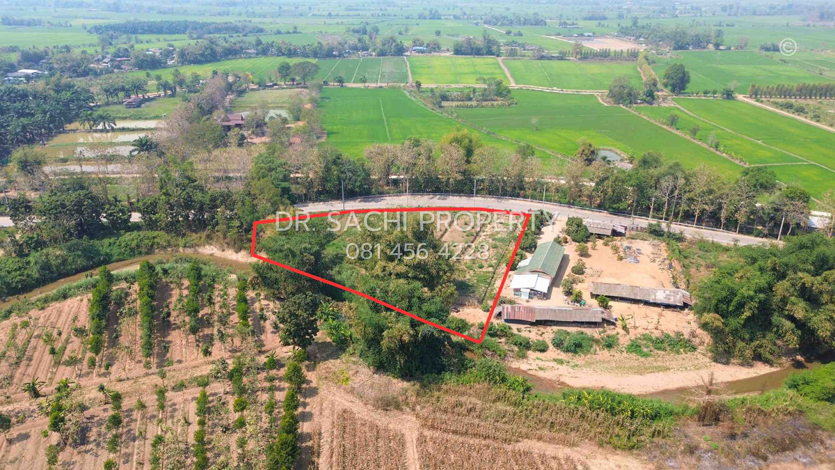 ขายที่ดินเชียงราย : ขายที่ดิน 3-1-25 ไร่ ติดริมน้ำ ต.บ้านด้าย อ.แม่สาย จ.เชียงราย