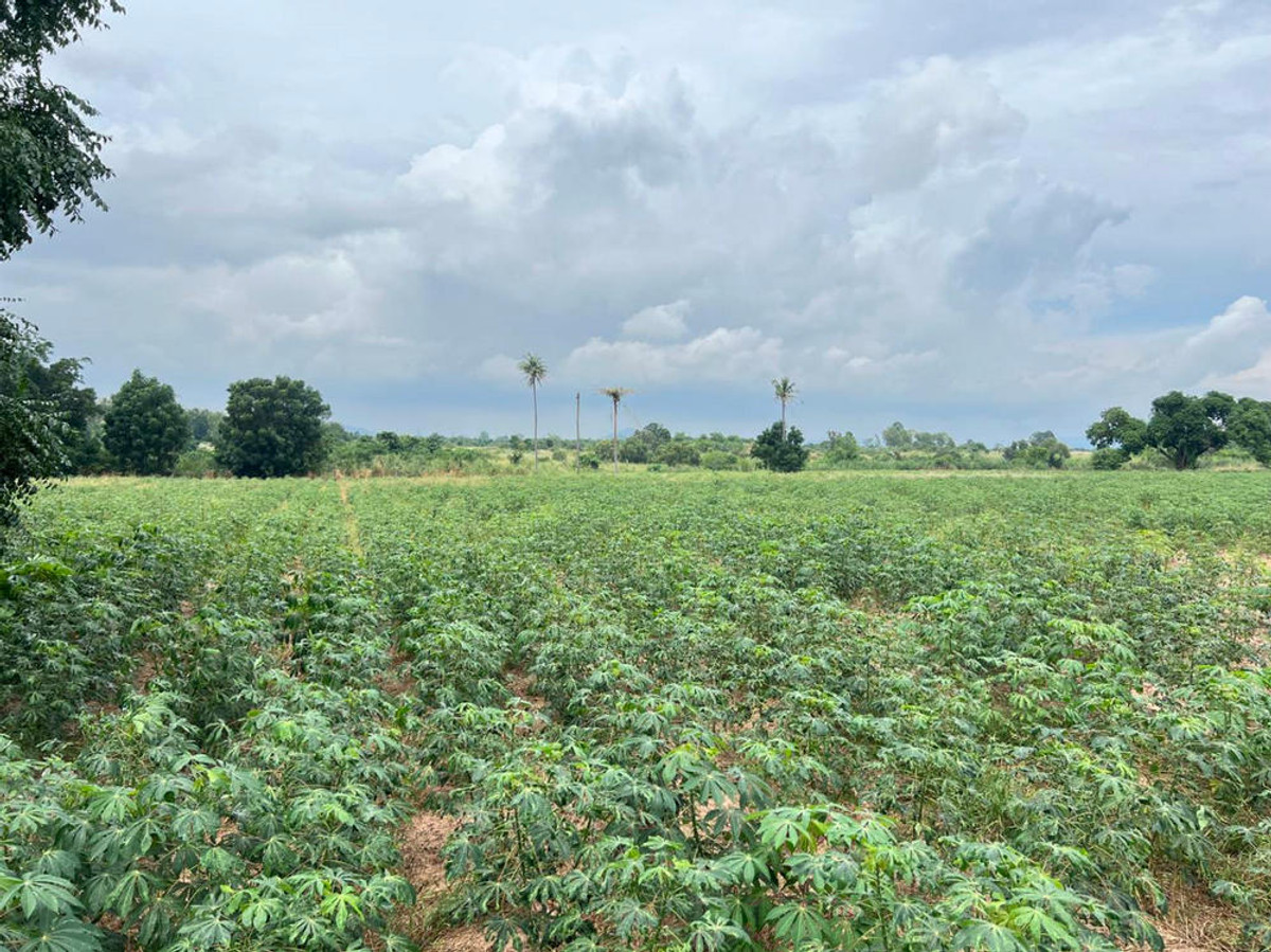 ขายที่ดินศรีราชา แหลมฉบัง บ้านบึง : สอบถามโทร : 095-442-9947 ขายที่ดินศรีราชา 28 ไร่ (แบ่งขายได้) และขยายเพิ่มได้อีก 11ไร่ ถ้าต้องการ พื้นที่สีส้มจุด ตำบลบึง ศรีราชา ชลบุรี ใกล้ท่าเรือแหลมฉบัง