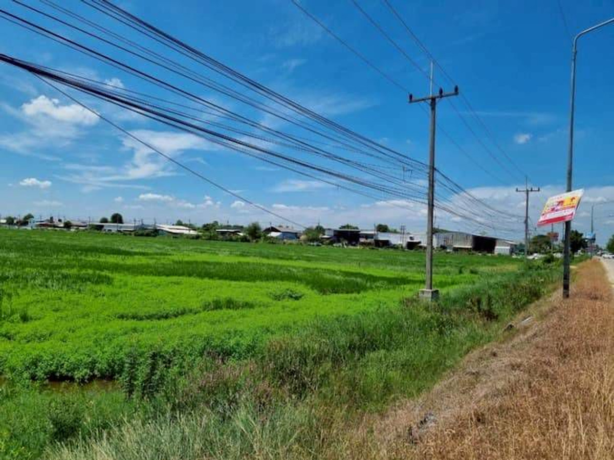 ให้เช่าที่ดินปทุมธานี รังสิต ธรรมศาสตร์ : ให้เช่า ที่ดิน แปลงใหญ่ 45 ไร่ (แบ่งเช่าได้) ทำเลดี ใกล้ชุมชน ติดถนนเลียบคลอง 7 ตำบลลำลูกกา อำเภอลำลูกกา จังหวัดปทุมธานี