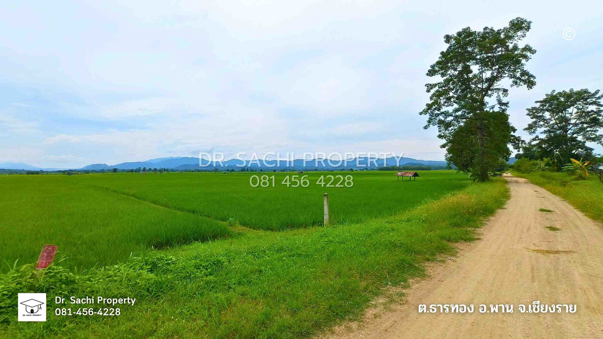 ขายบ้านเชียงราย : ขายบ้านเดี่ยว 230 ตรว. อ.พาน จ.เชียงราย วิวภูเขาบรรยากาศดีมาก