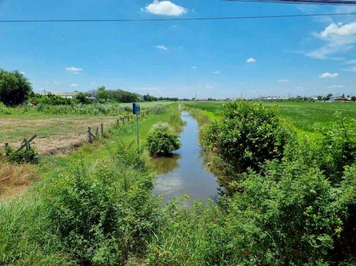 ให้เช่าที่ดินปทุมธานี รังสิต ธรรมศาสตร์ : ให้เช่า ที่ดิน แปลงใหญ่ 45 ไร่ (แบ่งเช่าได้) ทำเลดี ใกล้ชุมชน ติดถนนเลียบคลอง 7 ตำบลลำลูกกา อำเภอลำลูกกา จังหวัดปทุมธานี