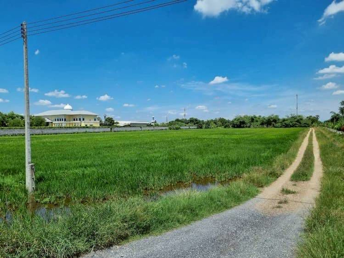 ให้เช่าที่ดินปทุมธานี รังสิต ธรรมศาสตร์ : ให้เช่า ที่ดิน แปลงใหญ่ 45 ไร่ (แบ่งเช่าได้) ทำเลดี ใกล้ชุมชน ติดถนนเลียบคลอง 7 ตำบลลำลูกกา อำเภอลำลูกกา จังหวัดปทุมธานี