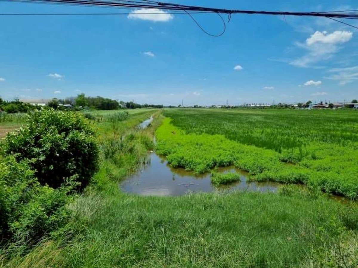 ให้เช่าที่ดินปทุมธานี รังสิต ธรรมศาสตร์ : ให้เช่า ที่ดิน แปลงใหญ่ 45 ไร่ (แบ่งเช่าได้) ทำเลดี ใกล้ชุมชน ติดถนนเลียบคลอง 7 ตำบลลำลูกกา อำเภอลำลูกกา จังหวัดปทุมธานี