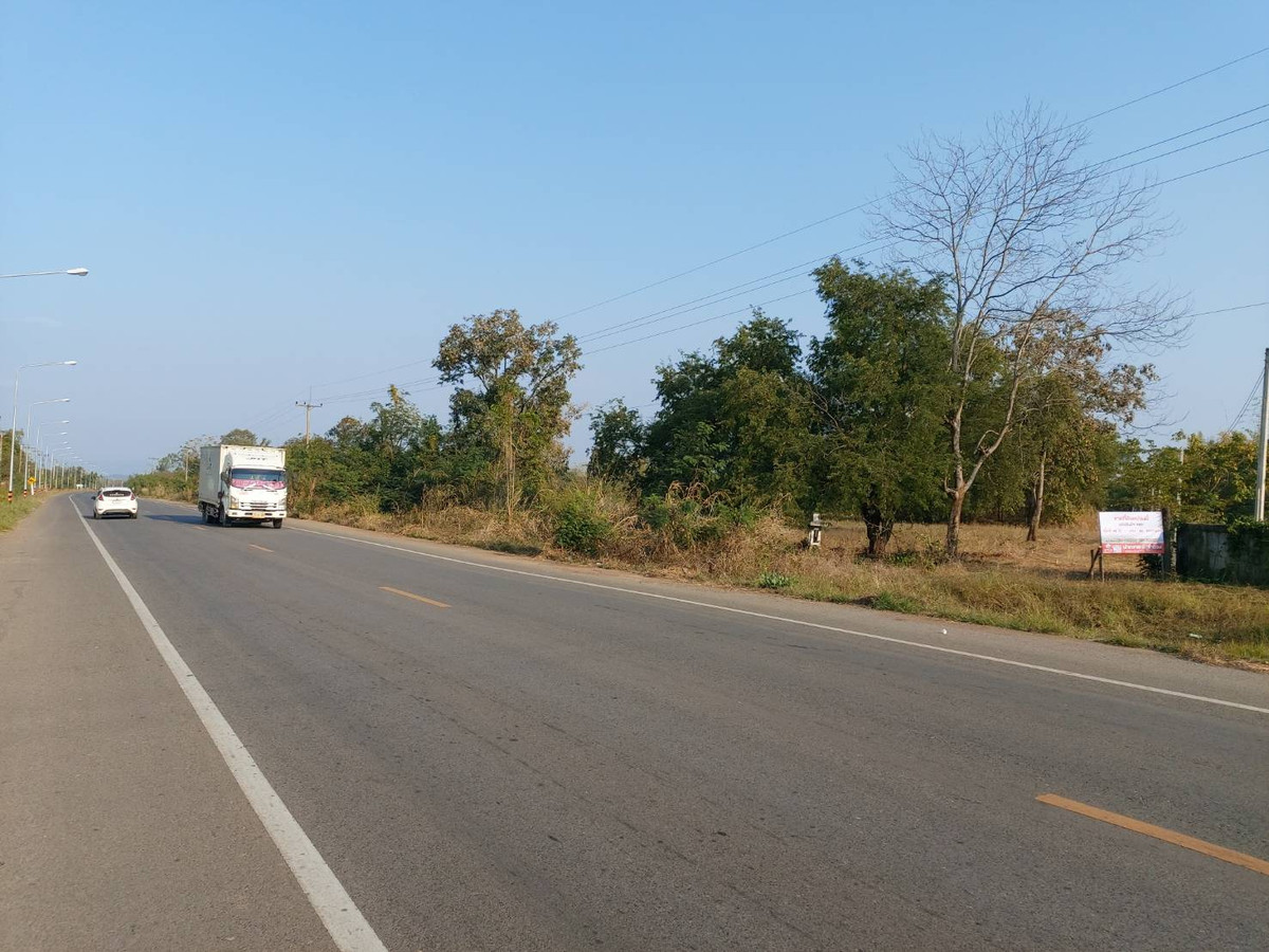 ขายที่ดินเพชรบูรณ์ : ที่ดินสวยแปลงใหญ่ หน้ากว้างติดถนน  อ.หนองไผ่ จ.เพชรบูรณ์