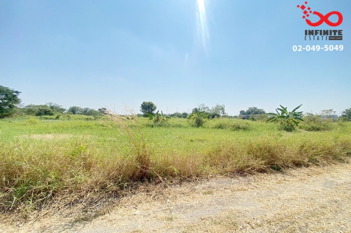 ขายที่ดินปทุมธานี รังสิต ธรรมศาสตร์ : ขายที่ดิน 104ตรว.ลำลูกกาคลอง 11 แปลงสวย ขายถูก ปทุมธานี ใกล้เรนวูดปาร์ค 