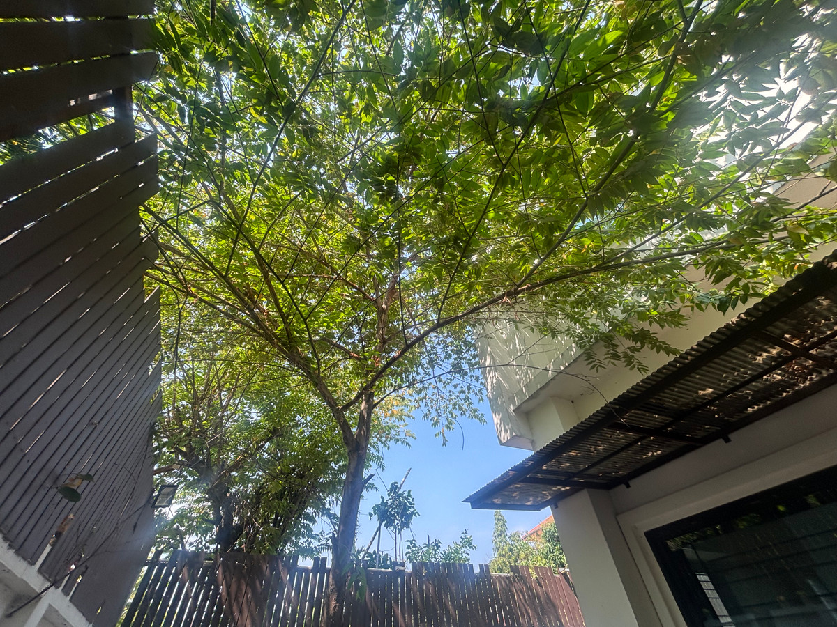 ขายทาวน์โฮมขอนแก่น : ขายด่วน เดอะ เฟล็กซ์ ทาวน์ โฮม ราคา ดี