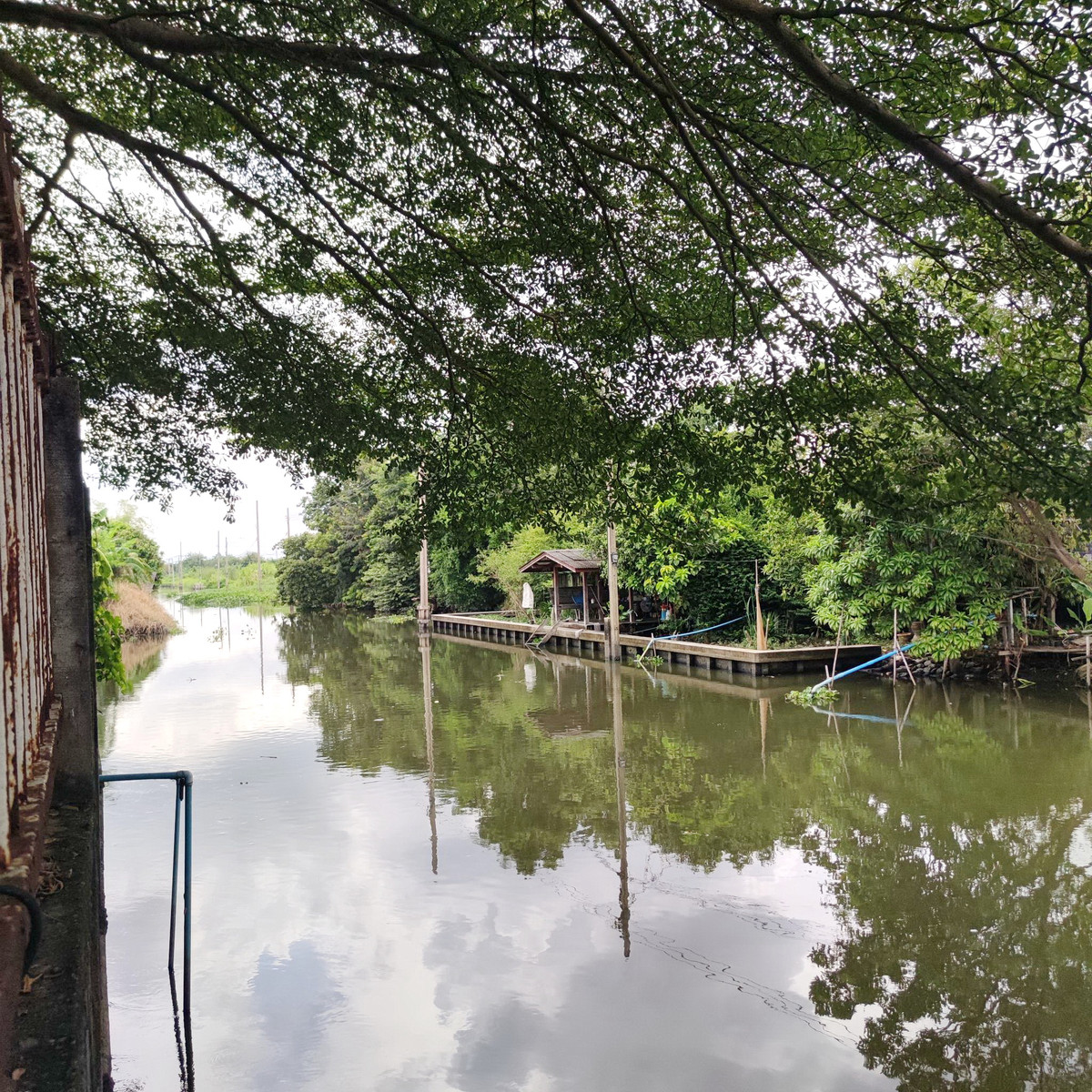 ขายที่ดินนนทบุรี บางใหญ่ บางบัวทอง : ที่ดิน บางใหญ่ 216 ตร.วา ติดคลอง 23 ม. อยู่ในหมู่บ้าน สงบ ปลอดภัย  💰ราคา 25,000 บาท/ตร.วา รวม 5,400,000 บาท ค่าส่วนกลาง 19 บาท/ตร.วา