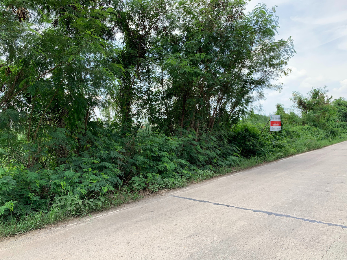 ขายที่ดินปทุมธานี รังสิต ธรรมศาสตร์ : ขายที่ดินคลองสาม 2 ไร่ (ซอย 1/17) รูปแปลงสี่เหลี่ยมผืนผ้าสวย ราคาพิเศษ 18,000/ตร.ว. เหมาะลงทุน