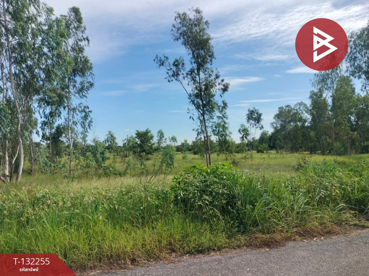 ขายที่ดินนครนายก : ขายที่ดิน เนื้อที่ 4 ไร่ 3 งาน 42 ตร.วา องครักษ์ นครนายก