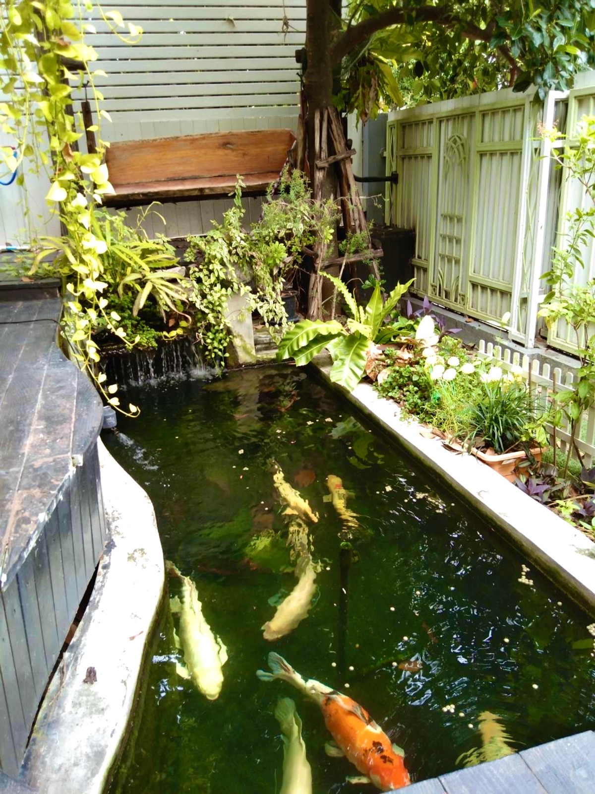 For SaleHouseLadkrabang, Suwannaphum Airport : Perfect Place Sukhumvit 77 / 3 bedrooms (sale with tenant), Perfect Place Sukhumvit 77 / 3 Bedrooms (SALE WITH TENENT) POON033