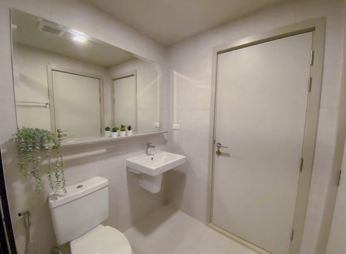 For RentCondoOnnut, Udomsuk : For rent, The base sukhumvit 50, 5th floor, size 32 sq m., price 14,500 baht, near the expressway, near BTS Bang Chak-On Nut.