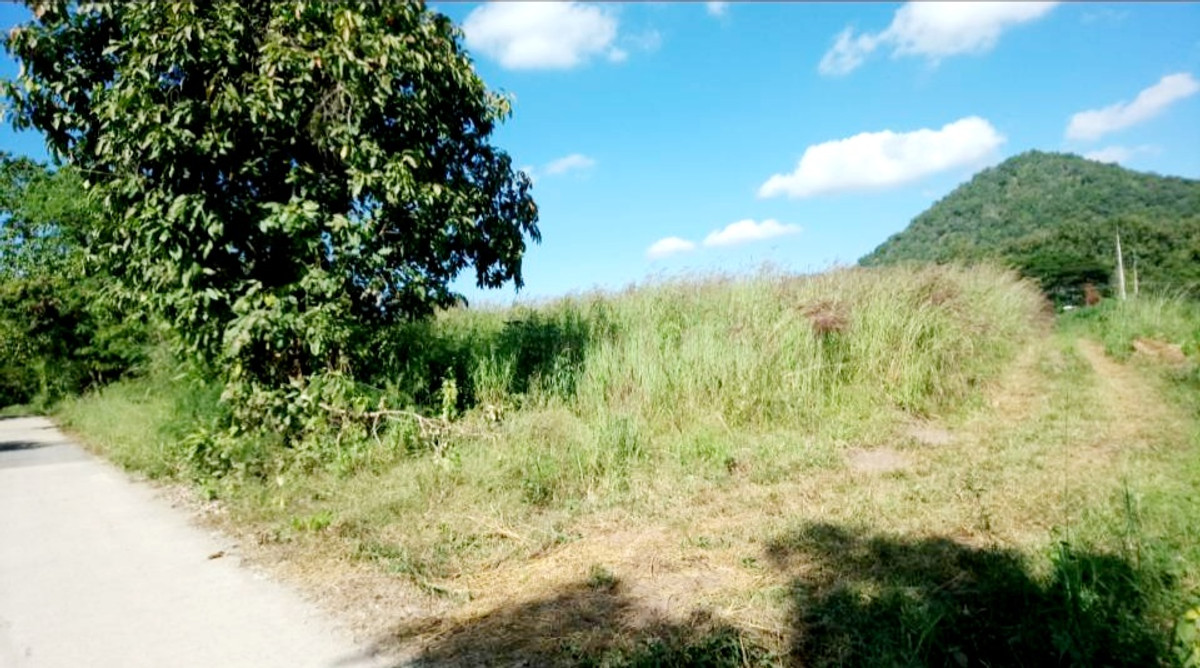 ขายที่ดินเลย : ขายที่ดินทำรีสอร์ทหรือคลังน้ำมันจังหวัดเลย