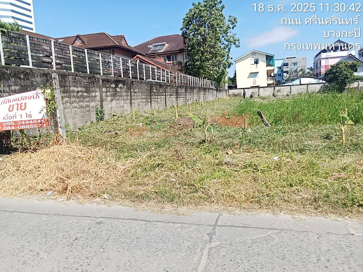 ขายที่ดินปทุมธานี รังสิต ธรรมศาสตร์ : 🏡 ขายที่ดินเปล่า ทำเลดี ธัญบุรี รังสิต-นครนายก