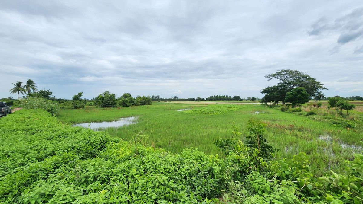 ขายที่ดินสิงห์บุรี : ที่ดินแปลงสวย  อ.บางระจัน จ.สิงห์บุรี ติดคลองชลประทาน  